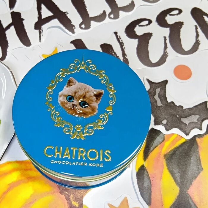 買って本当、良かった~!心躍る猫缶♡愛らしさと美味しさの絶妙なハーモニー♪