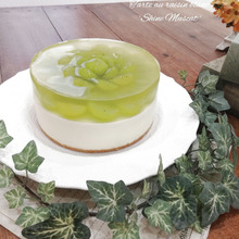 【キラキラエメラルドケーキ】まるで宝石?!シャインマスカットのレアチーズケーキ