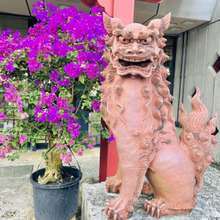 【沖縄の旅】これぞ「素人が行くとこうなるよね。」の典型的な楽しみ方です!11月ってのもイイよ〜