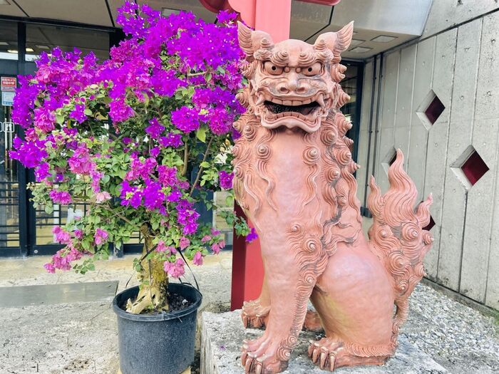 【沖縄の旅】これぞ「素人が行くとこうなるよね。」の典型的な楽しみ方です!11月ってのもイイよ〜