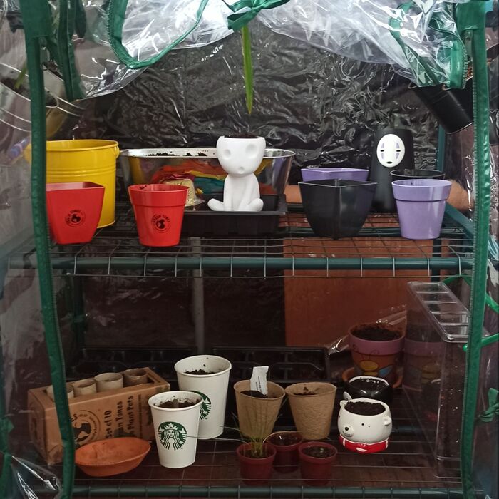 バルコニーECO菜園