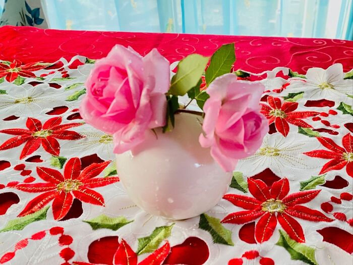 庭で育ててる薔薇を毎年綺麗に咲かせる方法!