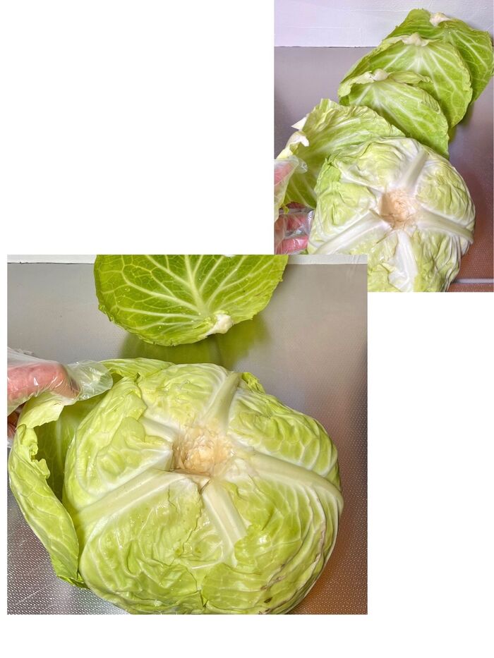 ハイ!生のまま少しも破れず、「パカッ」とはがせました