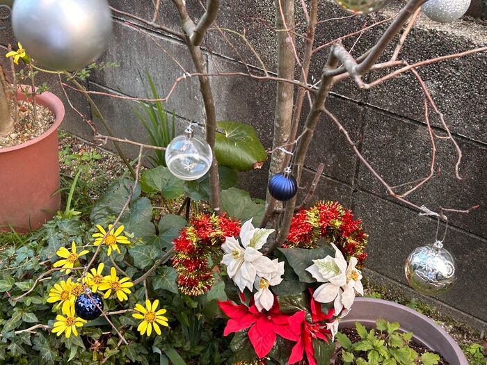 ダイソーで揃う☆寂しい冬の庭がパッと華やぐクリスマスの飾り付け