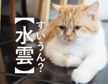 『水雲』正しく読めたら天才!「すいうん…」ではなく、手軽に食べられる海藻の名前です!