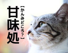 【甘味処】は「かんみどころ」ではない!?本来の読み方知ってますか?【意外と知らない漢字クイズ】