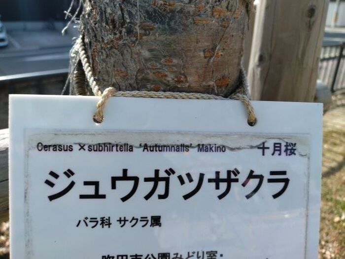 謎が判明!