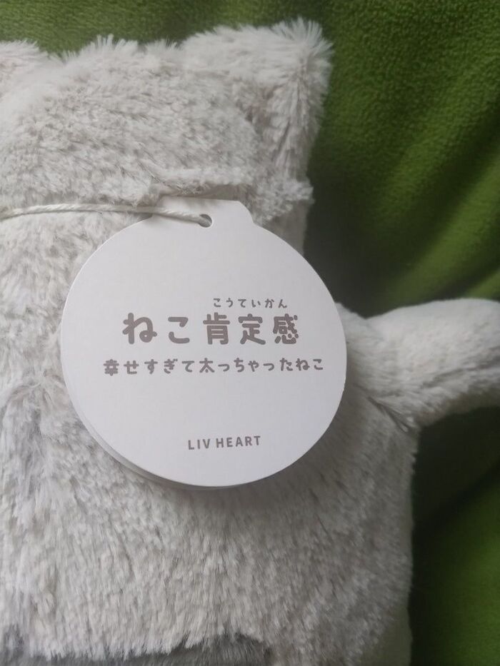 息子が欲しがったグッズ【ねこ肯定感】って何??