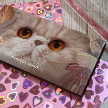 猫のまなざしにキュン! サイズ違いも美しく調和! まるでインテリアのような洗練コスメ収納