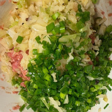 野菜炒めが残ったら、刻んでそのまま餃子に変身!