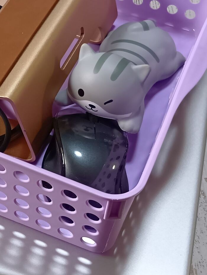 片付けも簡単!すべてかごの中にスッキリ納まります。