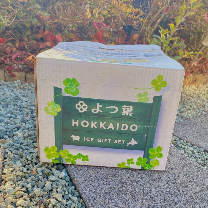 捨ててしまいがちのお箱で休眠!春を待っていました
