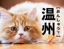 【温州】を「おんしゅう」と読んだら笑われる!?【読めないと恥ずかしい漢字クイズ】