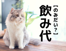 【飲み代】は「のみだい」とは読まない!?本来の読み方知ってる?【読めそうで読めない漢字クイズ】