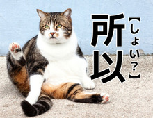 【所以】なんて読む?「しょい…?」ではありませんよ!【読めそうで読めない漢字クイズ】