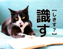 【識す】なんて読む?「しきす」ではありませんよ!【読めそうで読めない漢字クイズ】