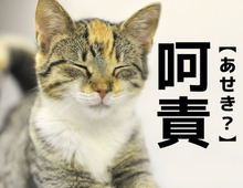 【呵責】なんて読む?「あせき」ではありませんよ!【読めそうで読めない漢字クイズ】