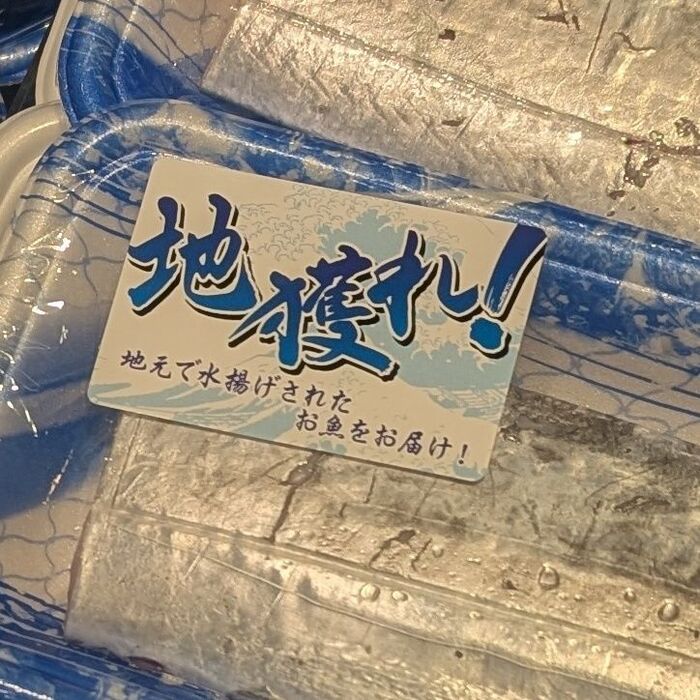 天然魚と養殖で何が違う?