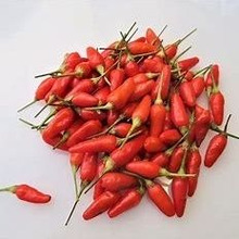 【琉球紀行番外編】魔法の言葉・・・「島 ● ● ● 」