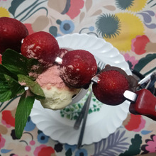 春の苺祭りspecial vacherin もちパパstyle