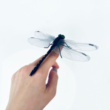 【DAISO】バイヤーおすすめ100円虫除けとんぼ!アウトドアグッズ