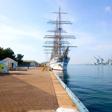 今朝の第一突堤停泊船「日本丸」「海神丸」