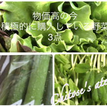 【物価高の今、積極的に購入している3種類の野菜】共通点に気付けますか?