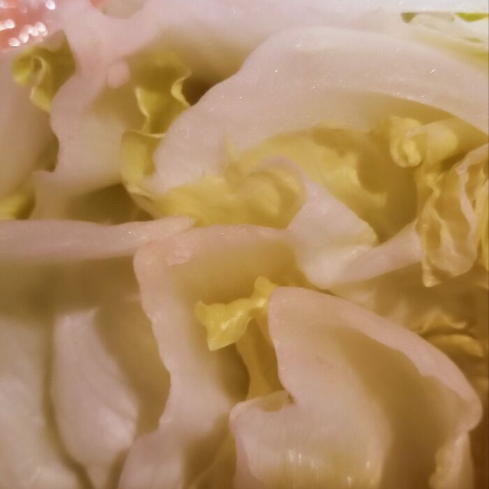 ラップを剥がすと