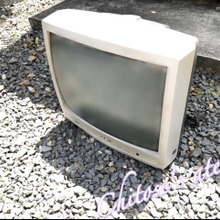 倉庫に主みたいに住み着いていた大物をやっと処分