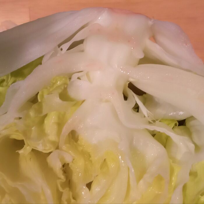 ただ、茎は変色が始まっていた