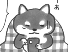 「あーあ、断っちゃった…」。さくらちゃんに悪いかな~…【柴犬食堂#21】