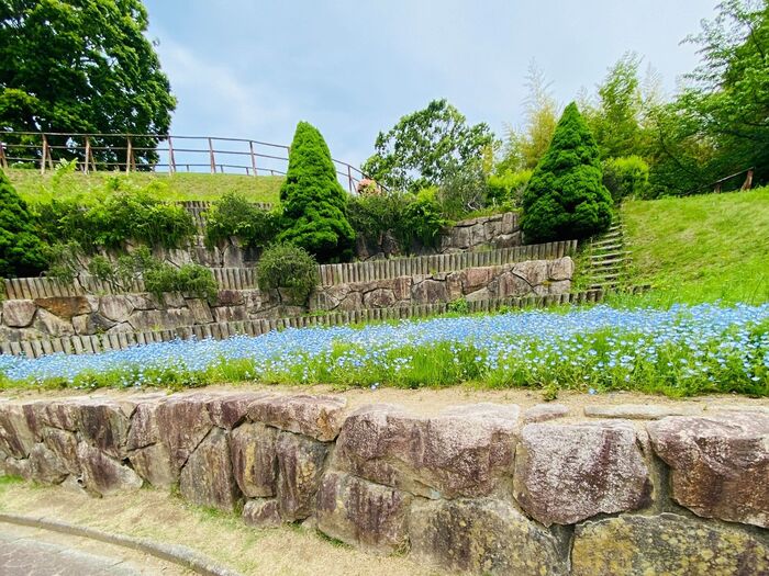 お花が綺麗!タダで楽しめるよ!