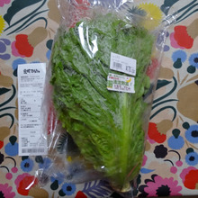 【安すぎ警報】米にも伝染しろっ!!romaine(ロメーヌ)