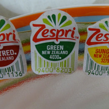 Zespri3兄弟 KIWI Fruitと遊ぶ!!