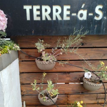 大阪京橋ぶらりランチ・テラス