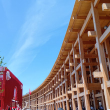 関西万博でユスリカ大発生!?5月末に行ったけど、実際どうだった?どんな昆虫?万博らしい特徴があるよ!