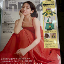 キウイのエコバッグが欲しくて、ファッション誌を買ってしまった!