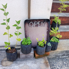 酷だよ・・・美味すぎる!!連行続出!!『cafe KOKU』