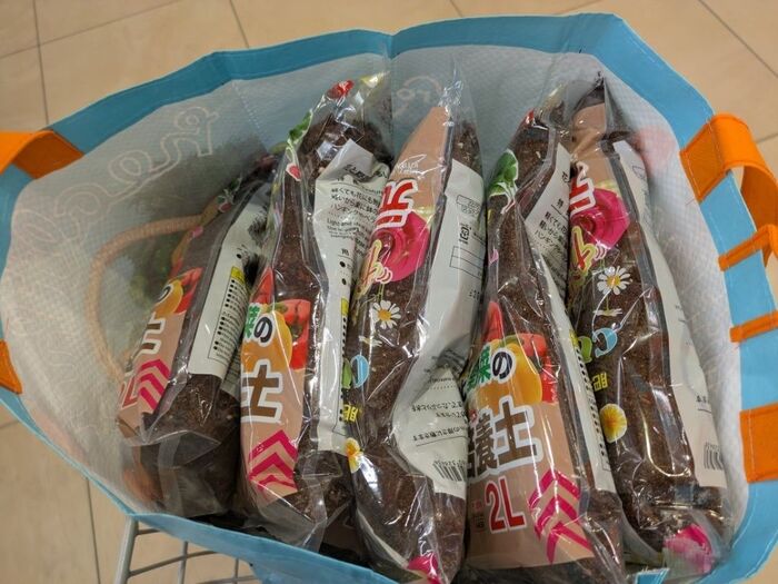 【ダイソー】『えっ、この土なに!?』と思わず大量買いしました!!