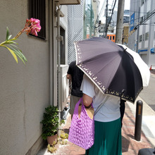 【すぱいすなかりー達 207/300】emacurry 28号現る