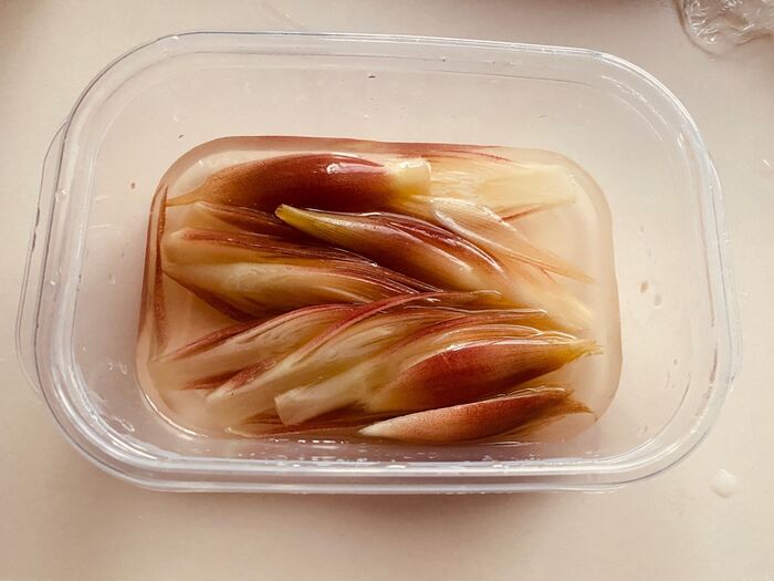 夏バテ防止に!「みょうがのピクルス」