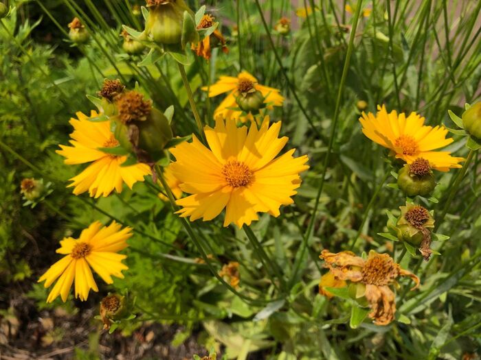 知らなかったではすまされない