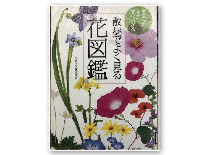 図鑑で調べてみました