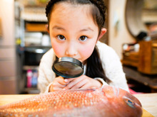魚を好きになるきっかけは「構造」?子どもがハマる意外なツボがあったんです!
