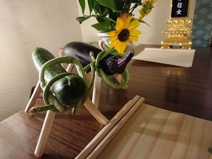 5.お盆にナスとキュウリを供える理由とは?