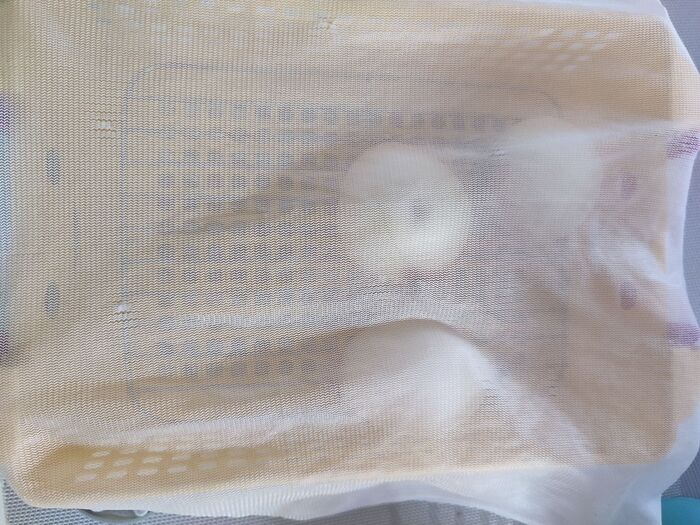 専用ネット要らず!手軽にドライフード。防虫対策も万全です。