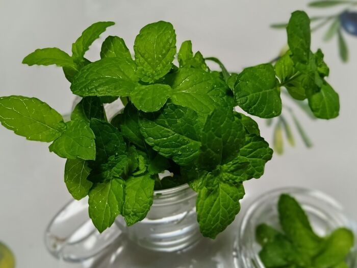 画像のグラスは、紅茶の茶葉を、内側の部分に入れて、直接、熱湯を注ぐと、紅茶がこされて出てくる専用の紅茶用のカップなんです。もう、使わないんで、花瓶代わりに使っていますよ。