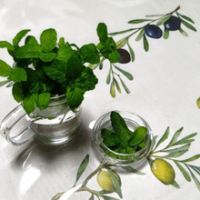 専用の花瓶がなくても、お家にあるもので代用~!節約ネタ!ミント一株を挿して飾って愛でて増やす!