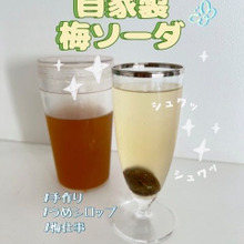 夏の梅仕事(うめしごと)でウメシロップ作りました!