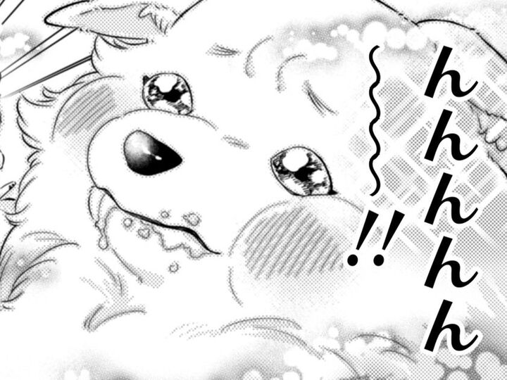 「んんんんーー(最高)!!」聖獣さまは、じっとなんてしてられない【ポンコツ令嬢に転生したら、もふもふから王子のメシウマ嫁に任命されました#19】